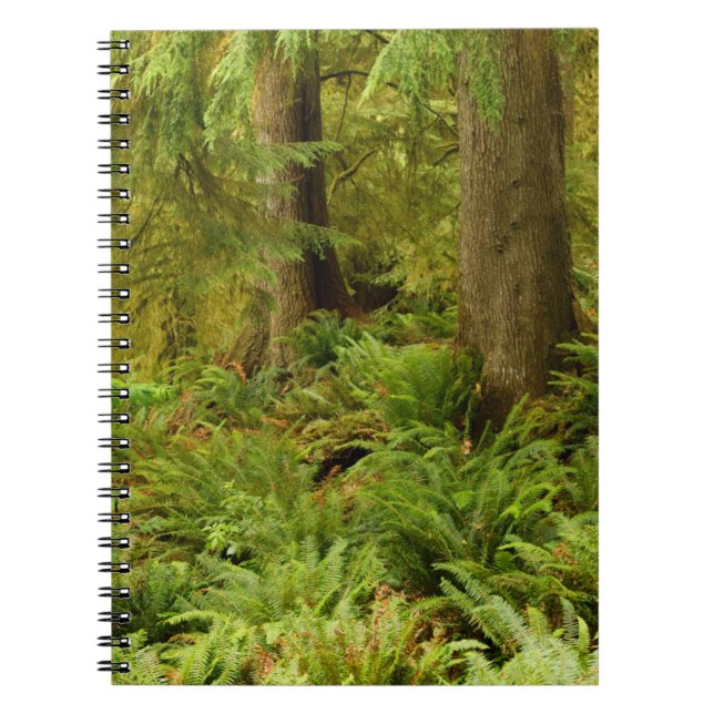 Lush Forest & Ferns | Ecola State Park, Oregon Notebook (Front)