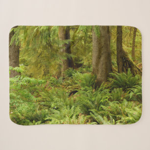 Lush Forest & Ferns Ecola State Park, Oregon Sherpa Blanket