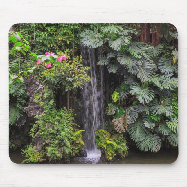 Lush Garden Waterfall, China Mouse Pad (Front)