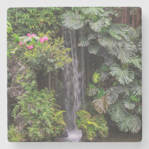 Lush Garden Waterfall, China Stone Coaster