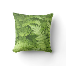 Lush Green Ferns