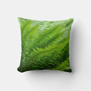 Lush green ferns    cushion