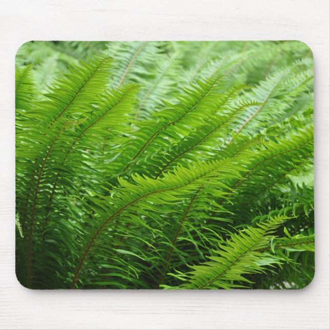 Lush green ferns mouse pad (Front)