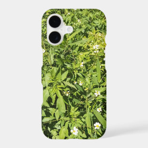 Lush green floral field