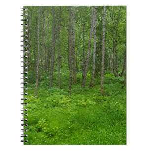 Lush Green Forest Landscape Scene Notebook