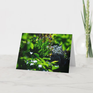 Lush green garden card