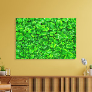 Lush Green Leaves Canvas Print