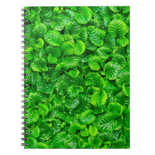 Lush Green Leaves Notebook