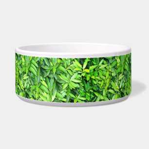 Lush Green Leaves Pattern – Nature Botanical