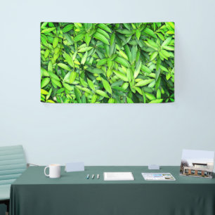 Lush Green Leaves Pattern – Nature Botanical  Banner