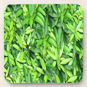 Lush Green Leaves Pattern – Nature Botanical Coaster