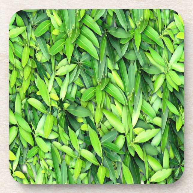 Lush Green Leaves Pattern – Nature Botanical  Coaster (Front)