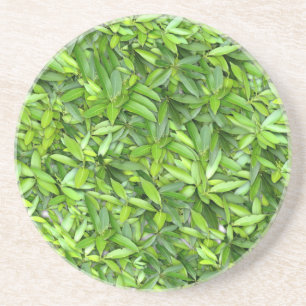Lush Green Leaves Pattern – Nature Botanical Coaster