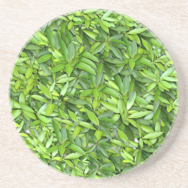 Lush Green Leaves Pattern – Nature Botanical  Coaster (Front)