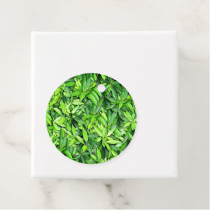 Lush Green Leaves Pattern – Nature Botanical Favour Tags