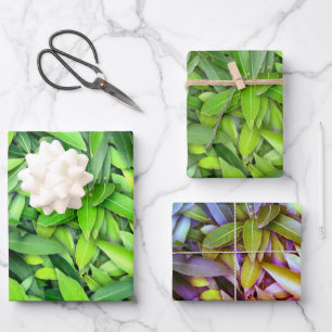Lush Green Leaves Pattern – Nature Botanical Wrapping Paper Sheet