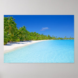 Lush Green Palm Tree Tropical Island Paradise Poster