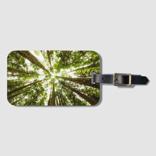 Lush Green Rain Forest Luggage Tag (Front Horizontal)