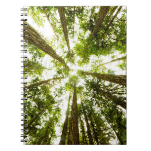 Lush Green Rain Forest Notebook