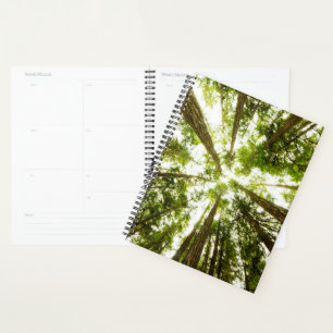 Lush Green Rain Forest Planner