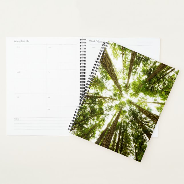 Lush Green Rain Forest Planner (Display)