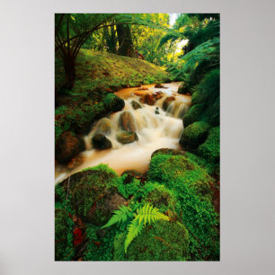 Lush Natural Colours Poster