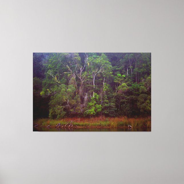 LUSH RAINFOREST 40x60 Canvas Print (Front)