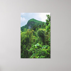 Lush rainforest and el yunque peak canvas print