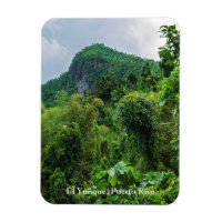 Lush rainforest and el yunque peak