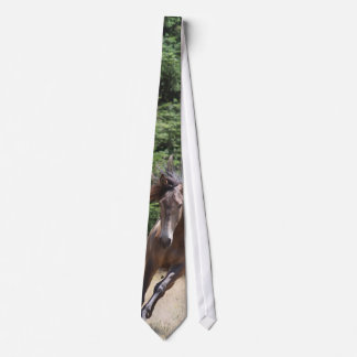 Lusitano Horse at Liberty Men's Tie