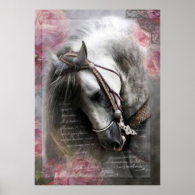 Lusitano Horse - Poster (Front)