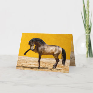 Lusitano Stallion Horse Greeting Card