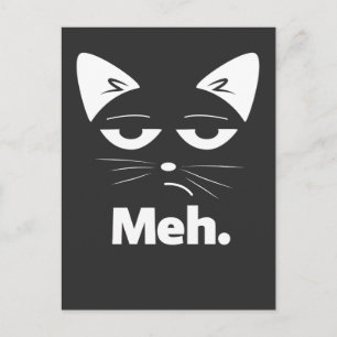 Lustige Katze Sarkastisches Kitten Meh Postcard
