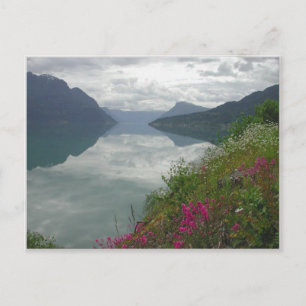 Lustrafjorden Panorama Postcard