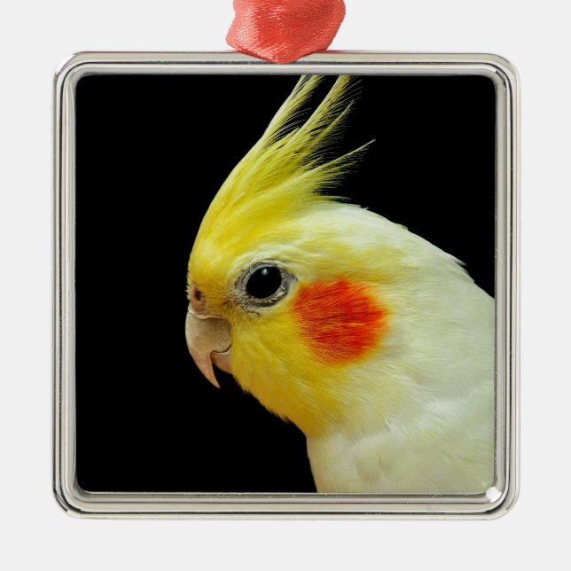 Lutino Cockatiel Metal Tree Decoration (Front)