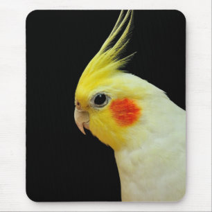 Lutino Cockatiel Mouse Pad