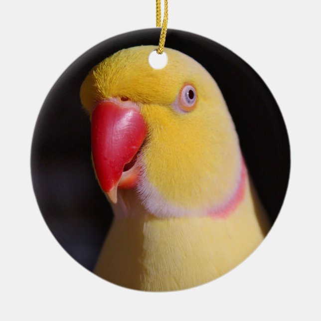 Lutino Indian Ringneck Parakeet Beak Ceramic Tree Decoration (Front)