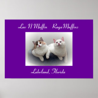 Luv N Muffin RagaMuffin Cats & Kittens Poster