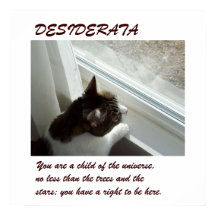 Luvlee's Window DESIDERATA poster