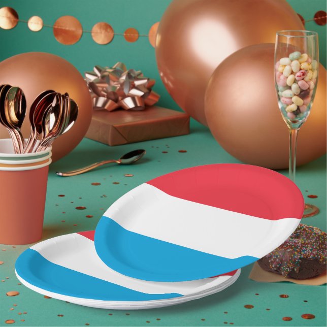 Luxembourg flag paper plate (Multi)