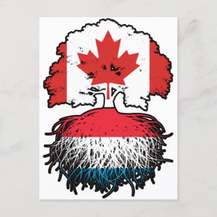 Luxembourg Luxembourgian Canadian Canada Tree Root Postcard