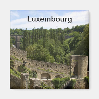 Luxembourg Ruins Magnet