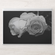 Luxurious White Rose