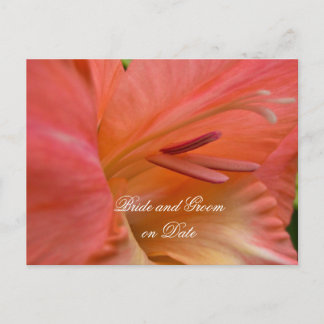 Luxury Elegant Hibiscus Spring Save date card