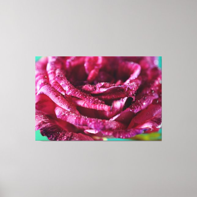 Luxury Wall Art Rose Petals Floral Nature (Front)