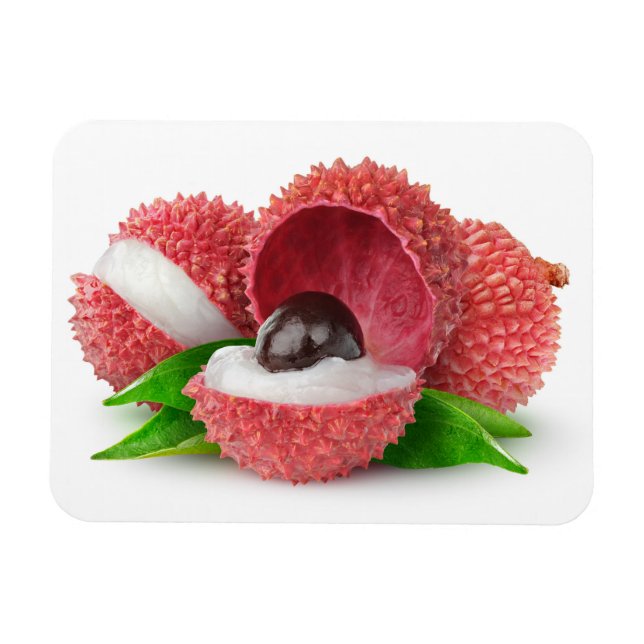 Lychee fruits magnet (Horizontal)