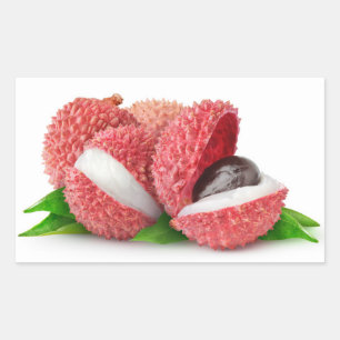 Lychee fruits rectangular sticker