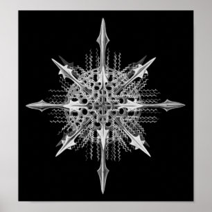 Lychnaspis miranda Ernst Haeckel Fine Art Poster