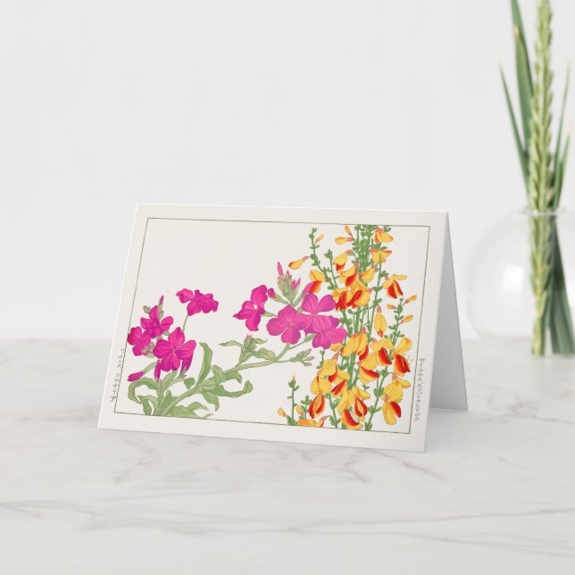 Lychnis coronaria, Cytisus by Tanigami Konan Card (Front)