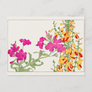 Lychnis coronaria, Cytisus by Tanigami Konan Postcard